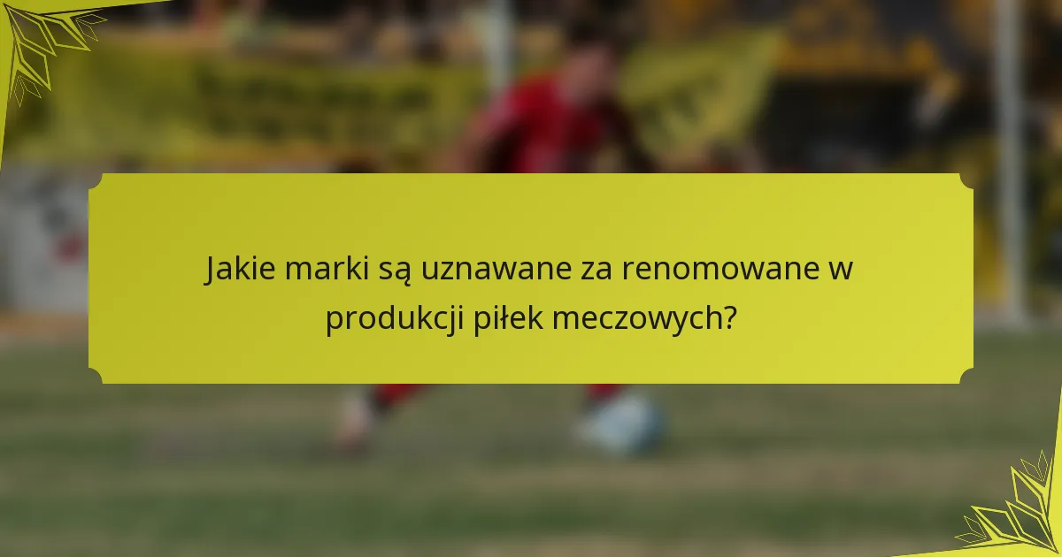 Jakie marki są uznawane za renomowane w produkcji piłek meczowych?