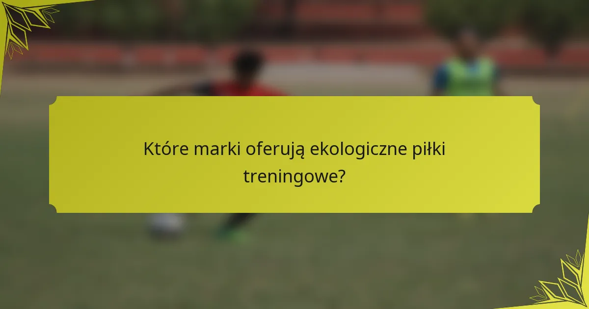 Które marki oferują ekologiczne piłki treningowe?