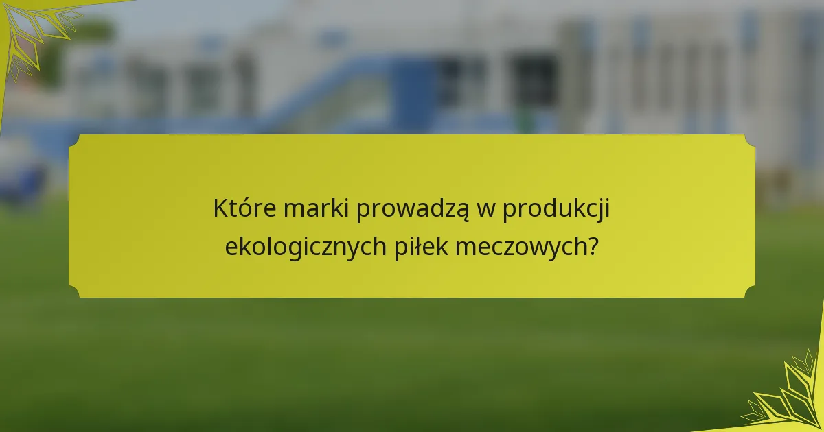 Które marki prowadzą w produkcji ekologicznych piłek meczowych?